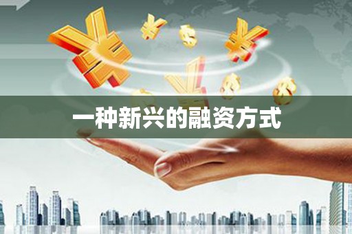 碑林一种新兴的融资方式