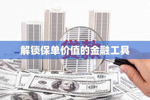 碑林解锁保单价值的金融工具