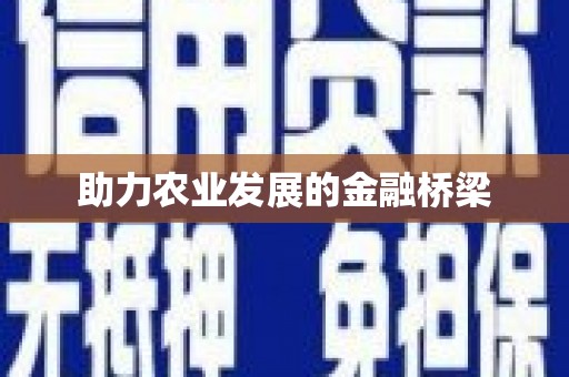 碑林助力农业发展的金融桥梁