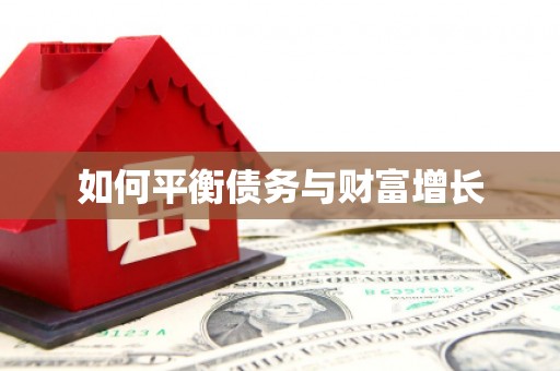 碑林如何平衡债务与财富增长