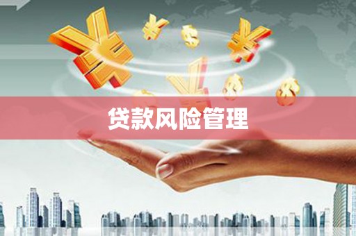 碑林贷款风险管理