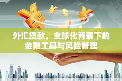碑林外汇贷款，全球化背景下的金融工具与风险管理
