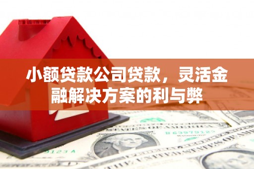 碑林小额贷款公司贷款，灵活金融解决方案的利与弊