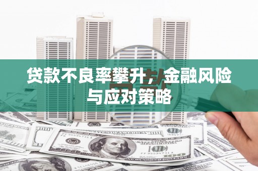 碑林贷款不良率攀升，金融风险与应对策略