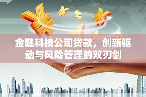 碑林金融科技公司贷款，创新驱动与风险管理的双刃剑