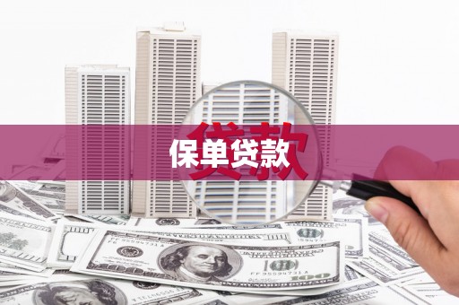 碑林保单贷款